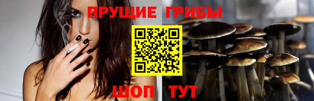 Галлюциногенные грибы Cubensis Балтийск